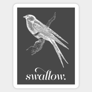 Swallow Bird Sticker